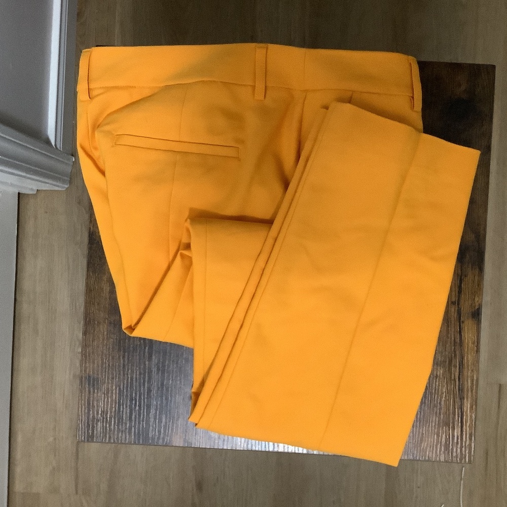Express dress pants